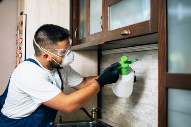 Reliable Killeen, TX Pest Control Solutions