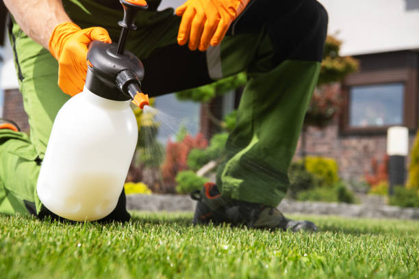 Best Wildlife Control Services  in Killeen, TX