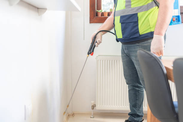 Best Ant Control Services  in Killeen, TX