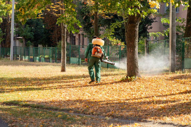 Best Emergency Pest Control  in Killeen, TX